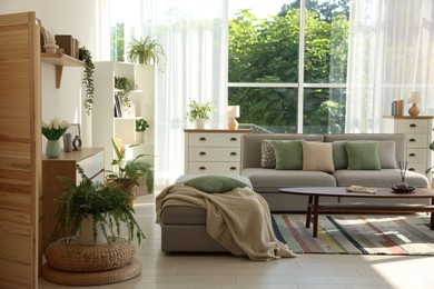 Photo of Stylish sofa and other furniture in living room. Interior design