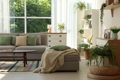 Photo of Stylish sofa and other furniture in living room. Interior design