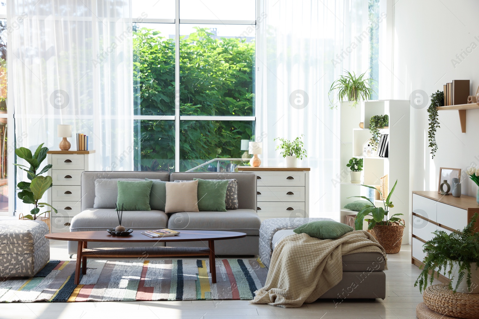 Photo of Stylish sofa and other furniture in living room. Interior design