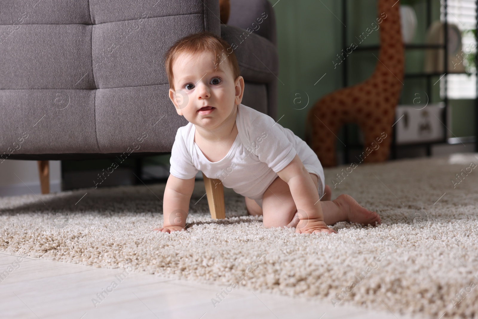 Cute little baby crawling on carpet at home Photo of Cute little baby crawling on carpet at home