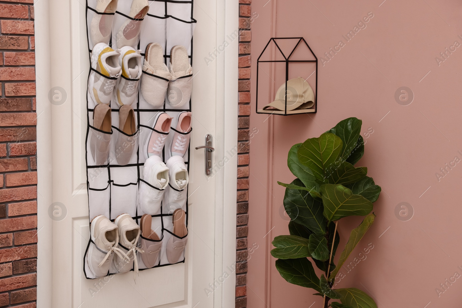 Organizer with different footwear on door, cap and houseplant indoors Photo of Organizer with different footwear on door, cap and houseplant indoors