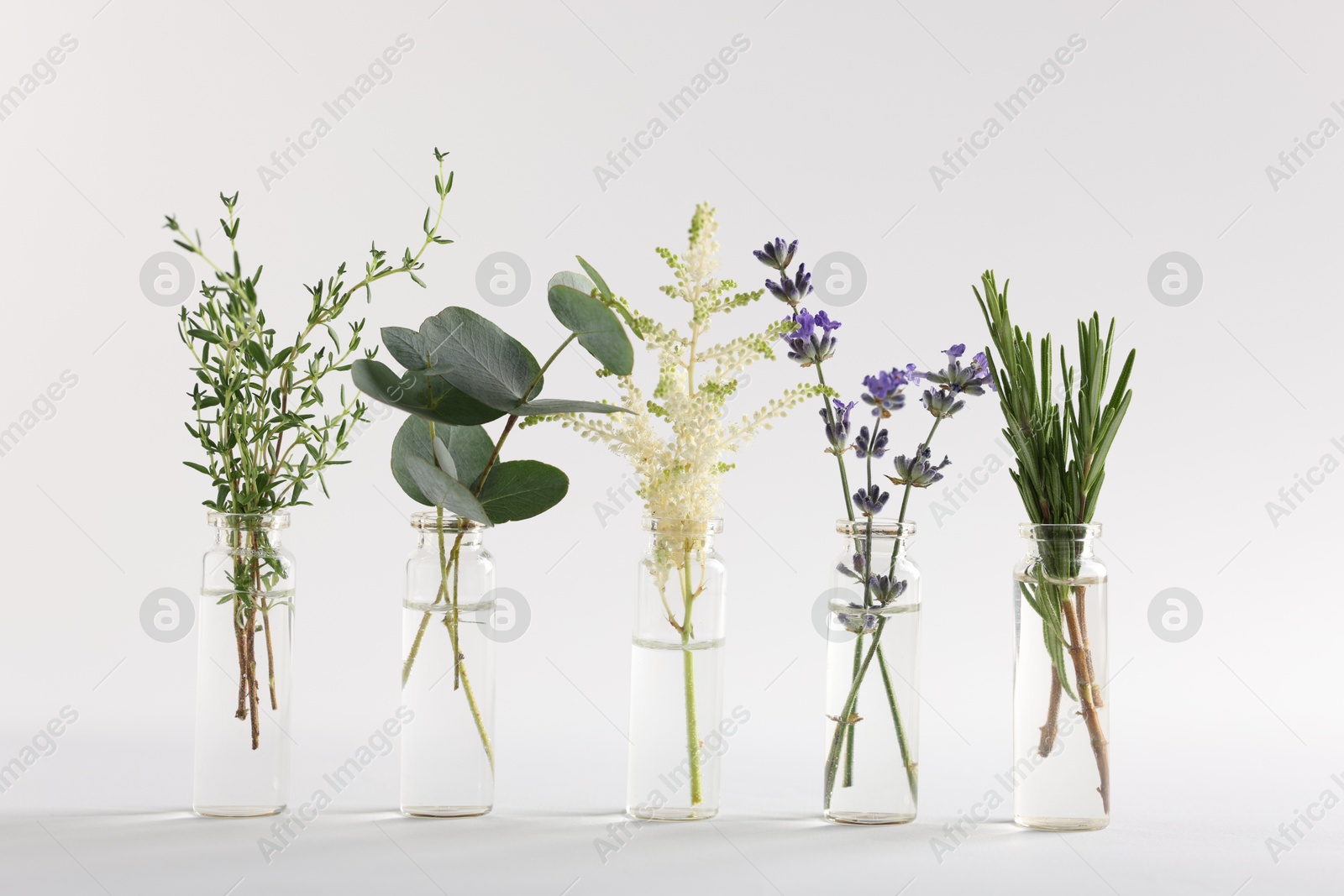 Photo of Essential oils with different plants in bottles on light grey background