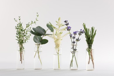 Photo of Essential oils with different plants in bottles on light grey background