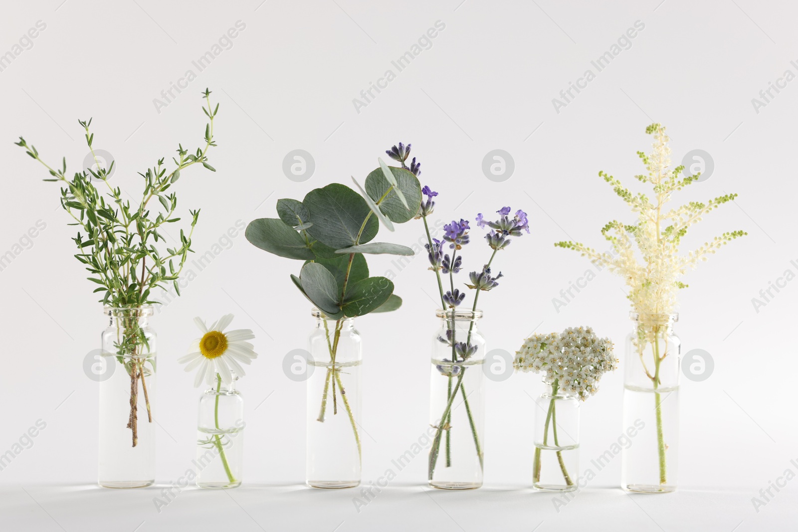Photo of Essential oils with different plants in bottles on light grey background