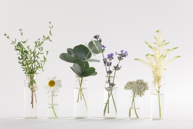 Photo of Essential oils with different plants in bottles on light grey background