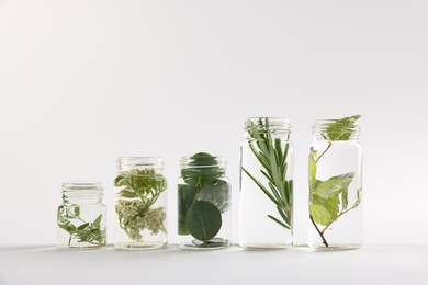 Photo of Essential oils with different plants in bottles on light grey background