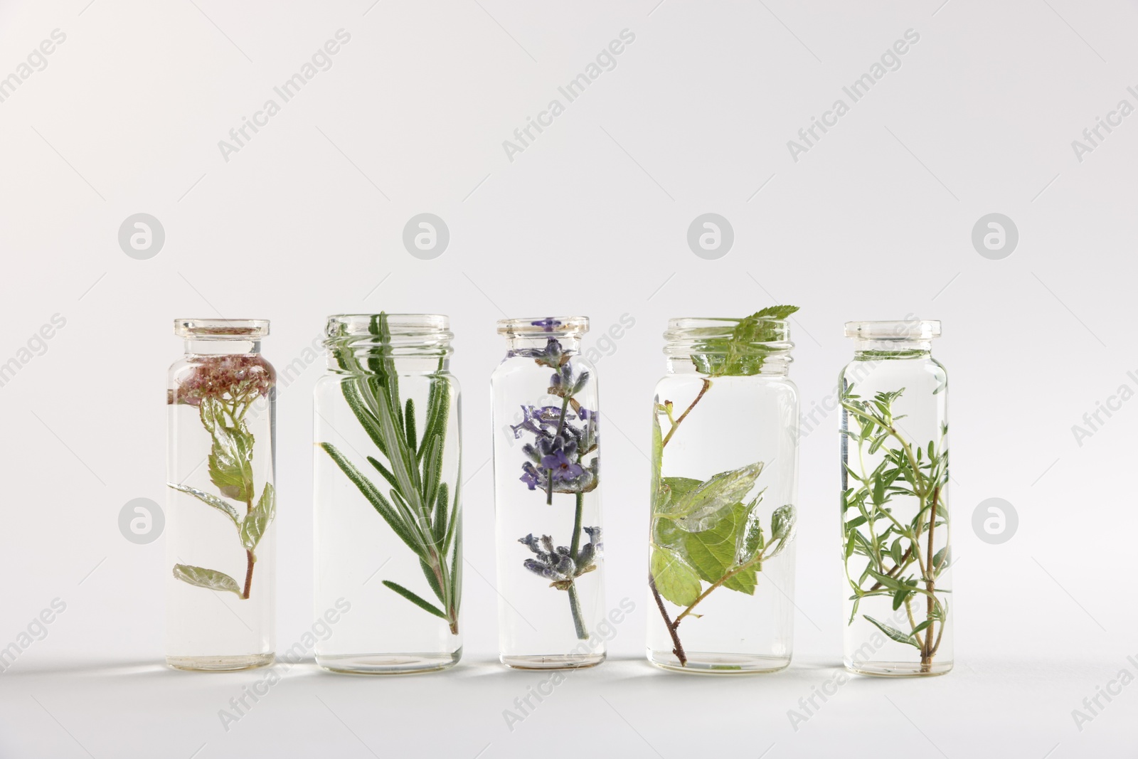 Photo of Essential oils with different plants in bottles on light grey background