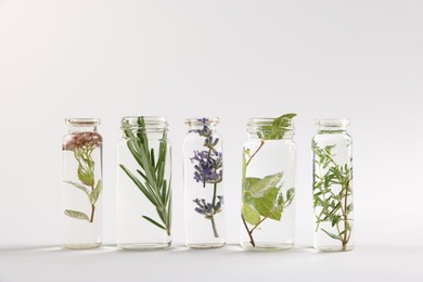 Photo of Essential oils with different plants in bottles on light grey background