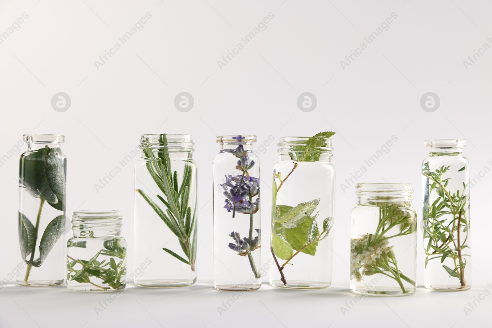Photo of Essential oils with different plants in bottles on light grey background