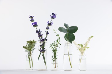 Photo of Essential oils with different plants in bottles on light grey background