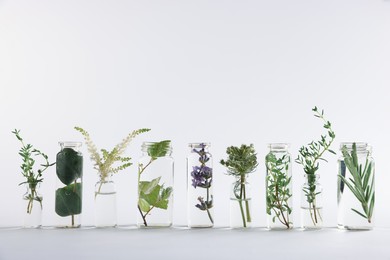 Photo of Essential oils with different plants in bottles on light grey background