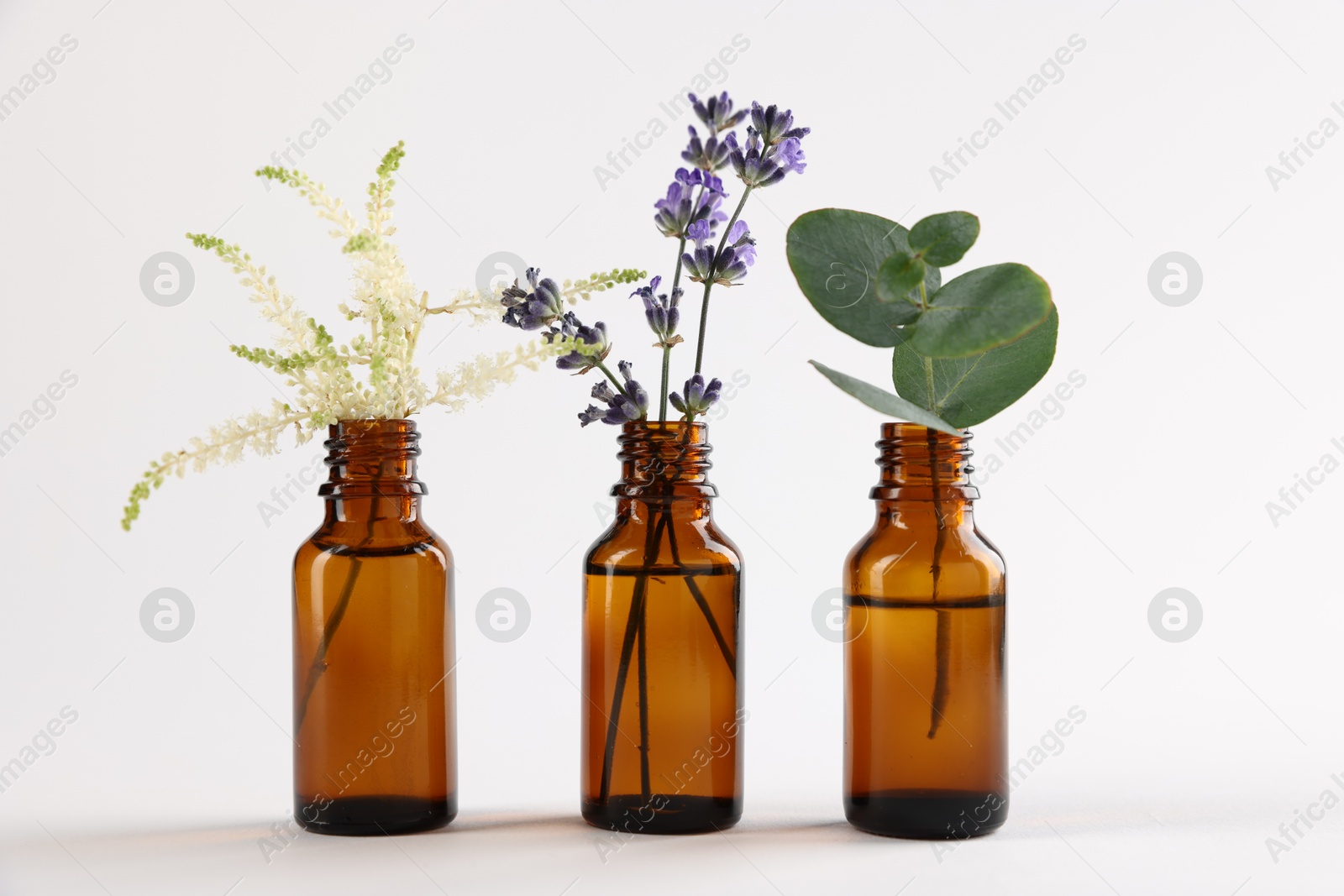 Photo of Essential oils with different plants in bottles on light grey background