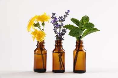 Photo of Essential oils with different plants in bottles on light grey background