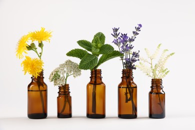 Photo of Essential oils with different plants in bottles on light grey background