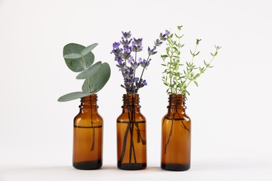 Photo of Essential oils with different plants in bottles on light grey background