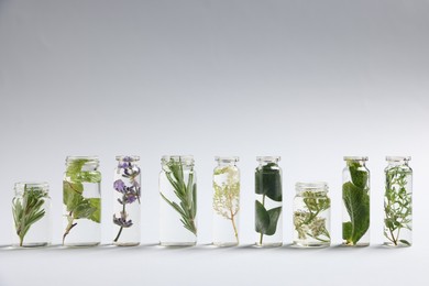 Photo of Essential oils with different plants in bottles on light grey background