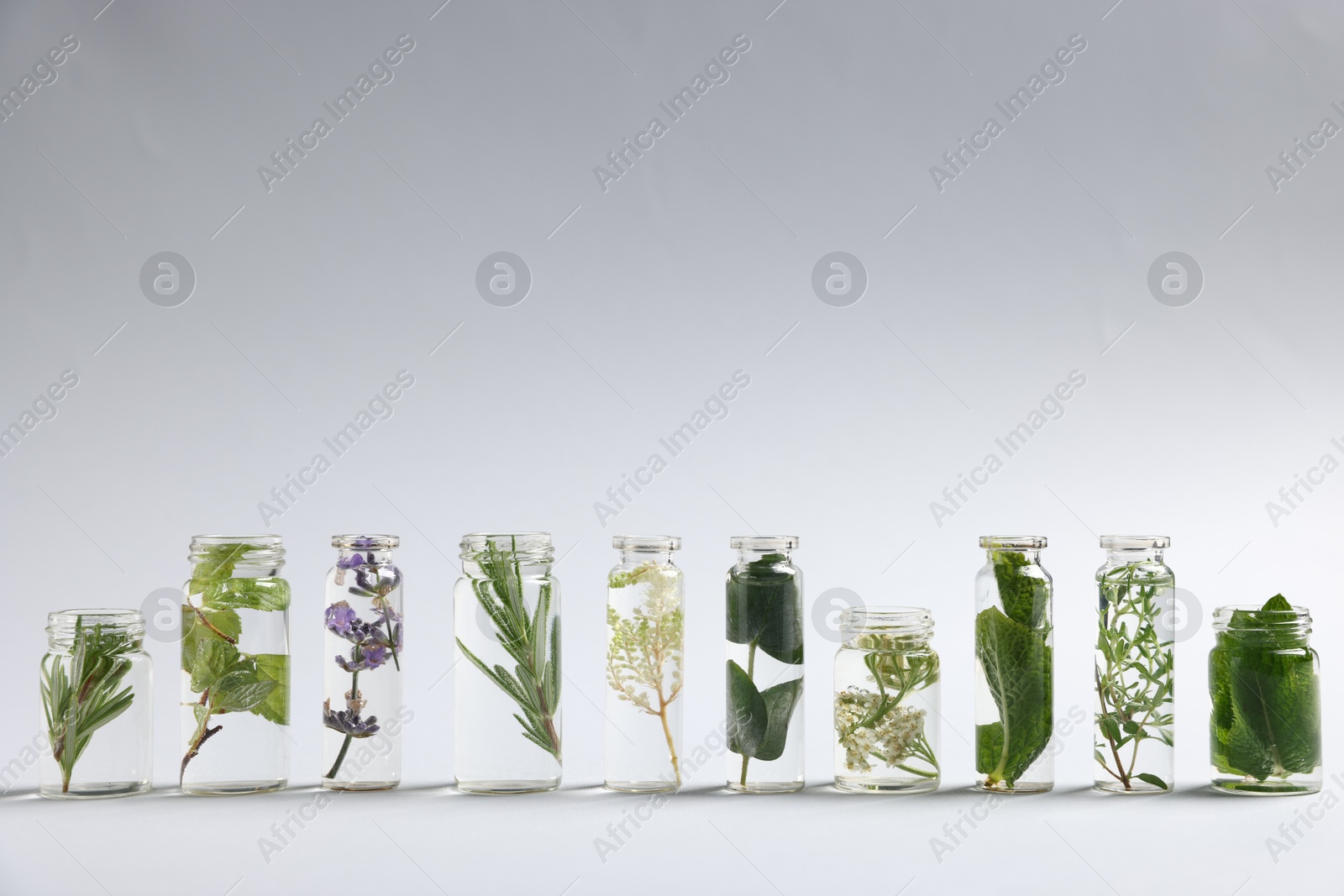 Photo of Essential oils with different plants in bottles on light grey background