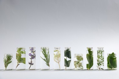 Photo of Essential oils with different plants in bottles on light grey background