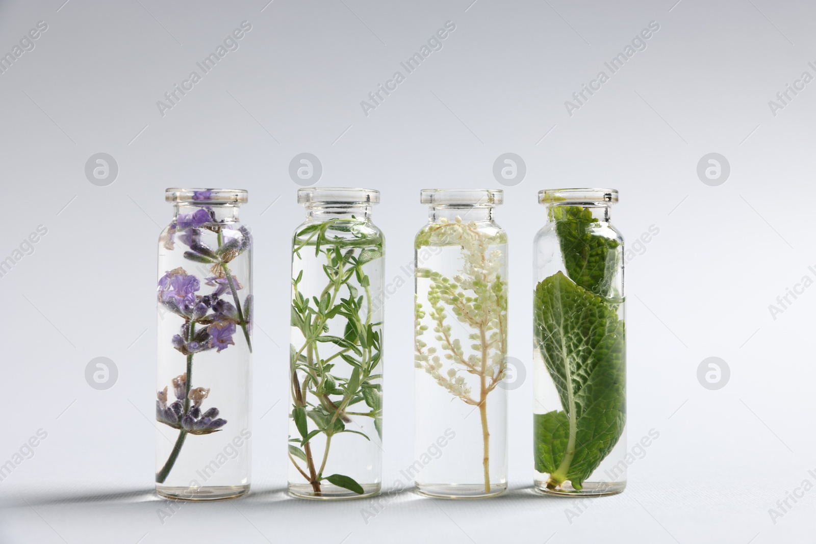 Photo of Essential oils with different plants in bottles on light grey background