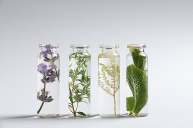Photo of Essential oils with different plants in bottles on light grey background