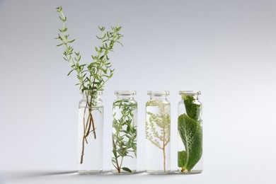 Photo of Essential oils with different plants in bottles on light grey background