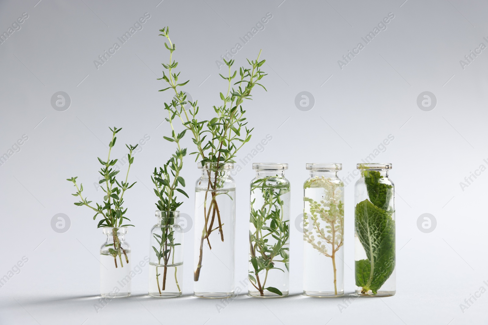 Photo of Essential oils with different plants in bottles on light grey background