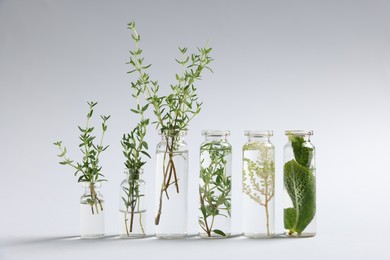 Photo of Essential oils with different plants in bottles on light grey background
