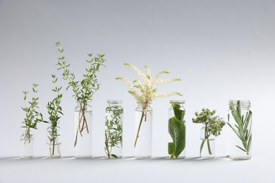 Photo of Essential oils with different plants in bottles on light grey background