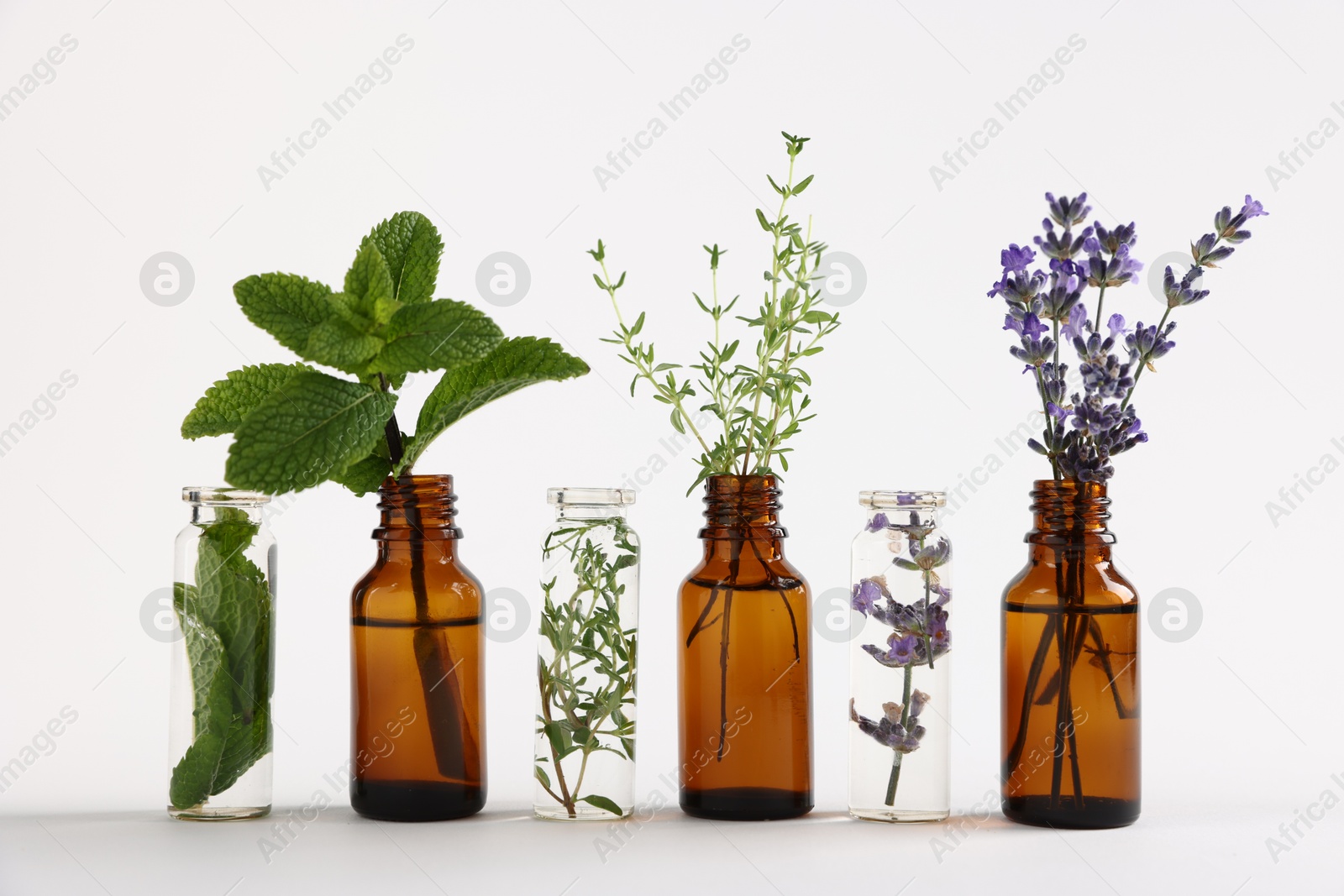 Photo of Essential oils with different plants in bottles on light grey background