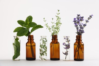 Photo of Essential oils with different plants in bottles on light grey background