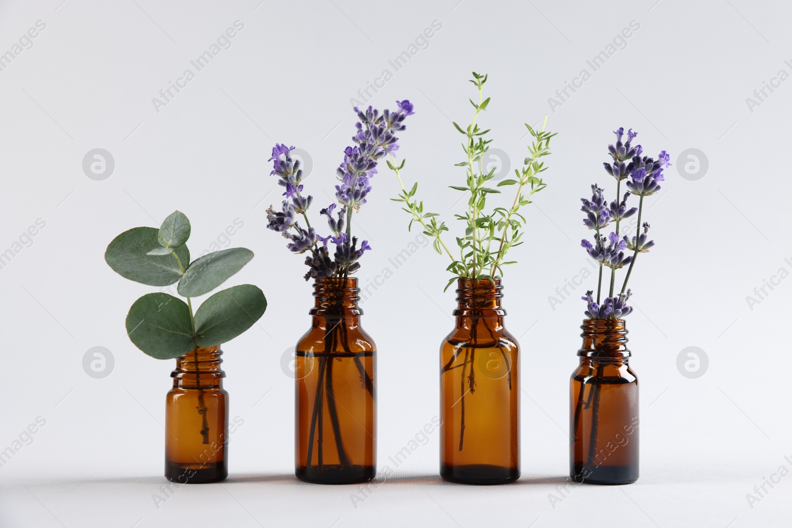Photo of Essential oils with different plants in bottles on light grey background