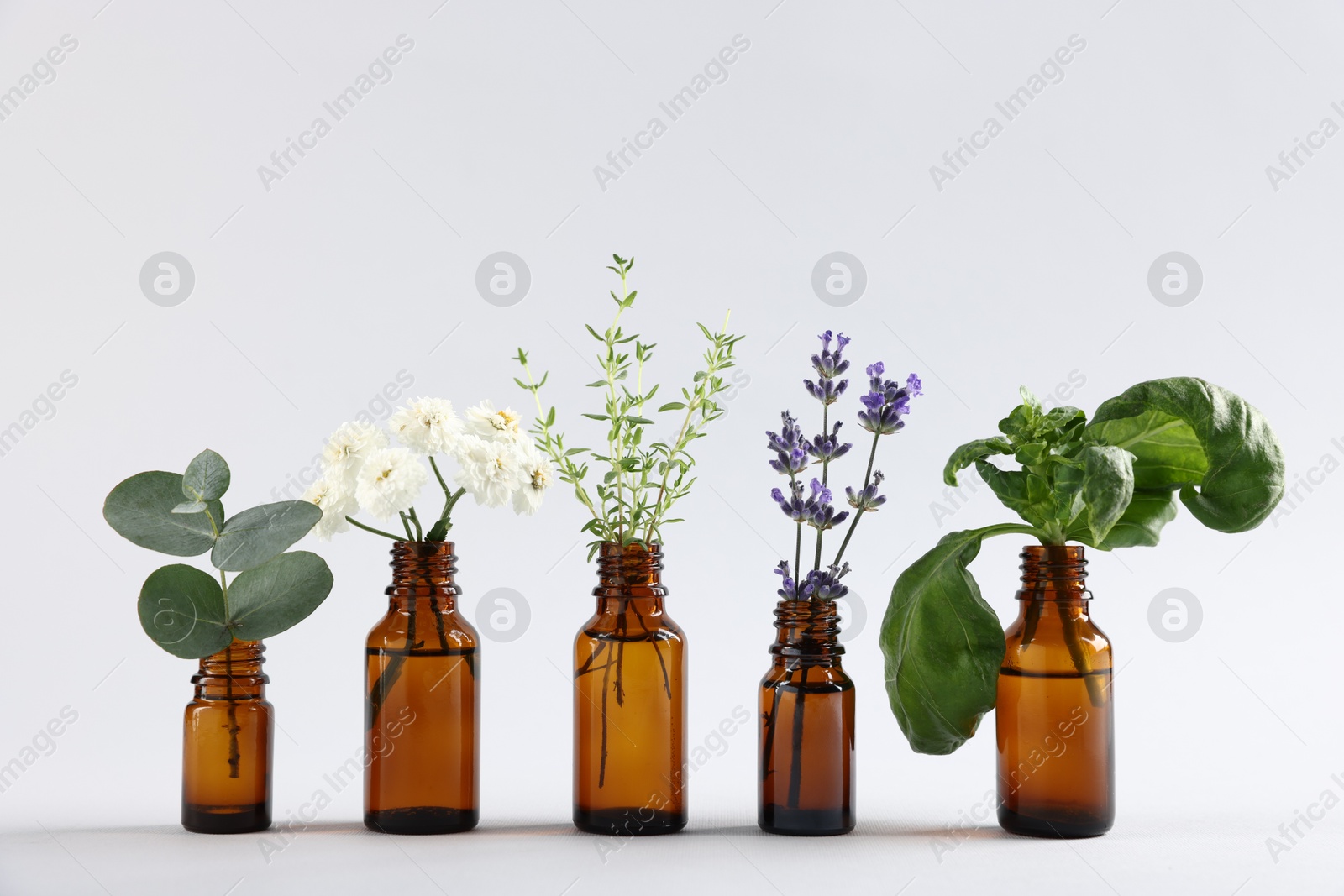 Photo of Essential oils with different plants in bottles on light grey background