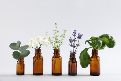 Photo of Essential oils with different plants in bottles on light grey background