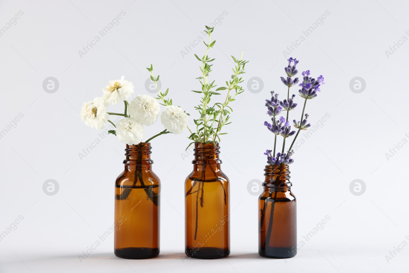 Photo of Essential oils with different plants in bottles on light grey background