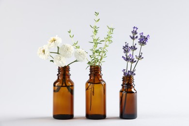Photo of Essential oils with different plants in bottles on light grey background