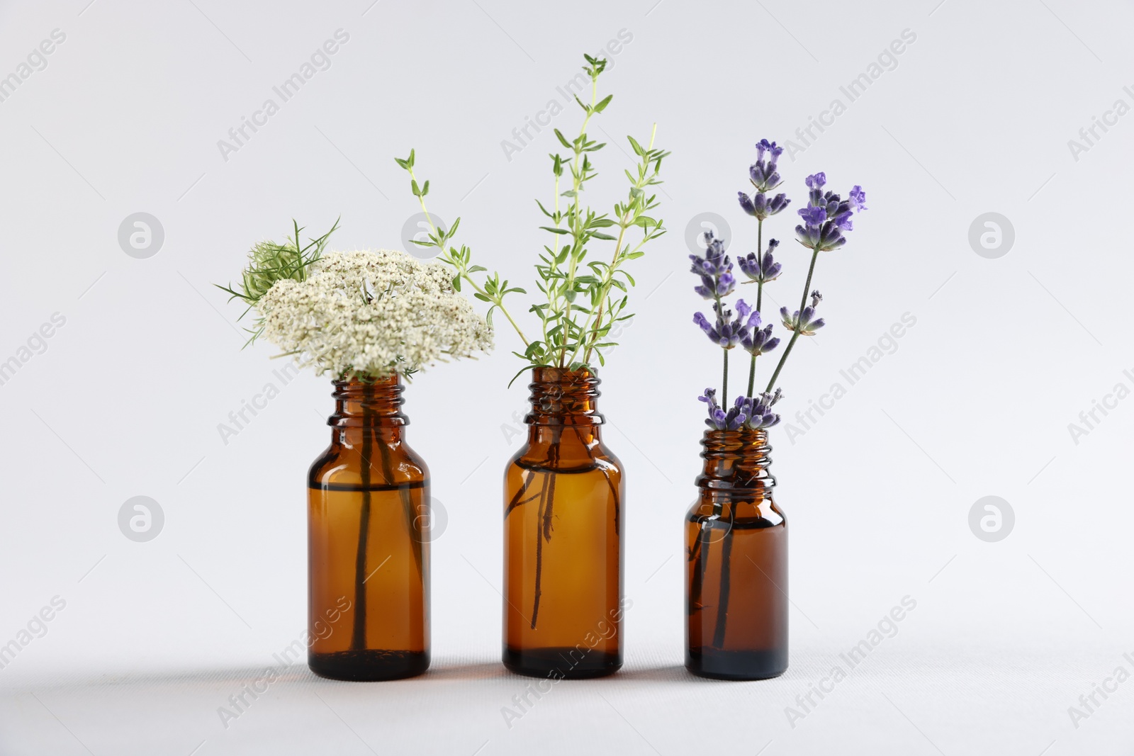 Photo of Essential oils with different plants in bottles on light grey background