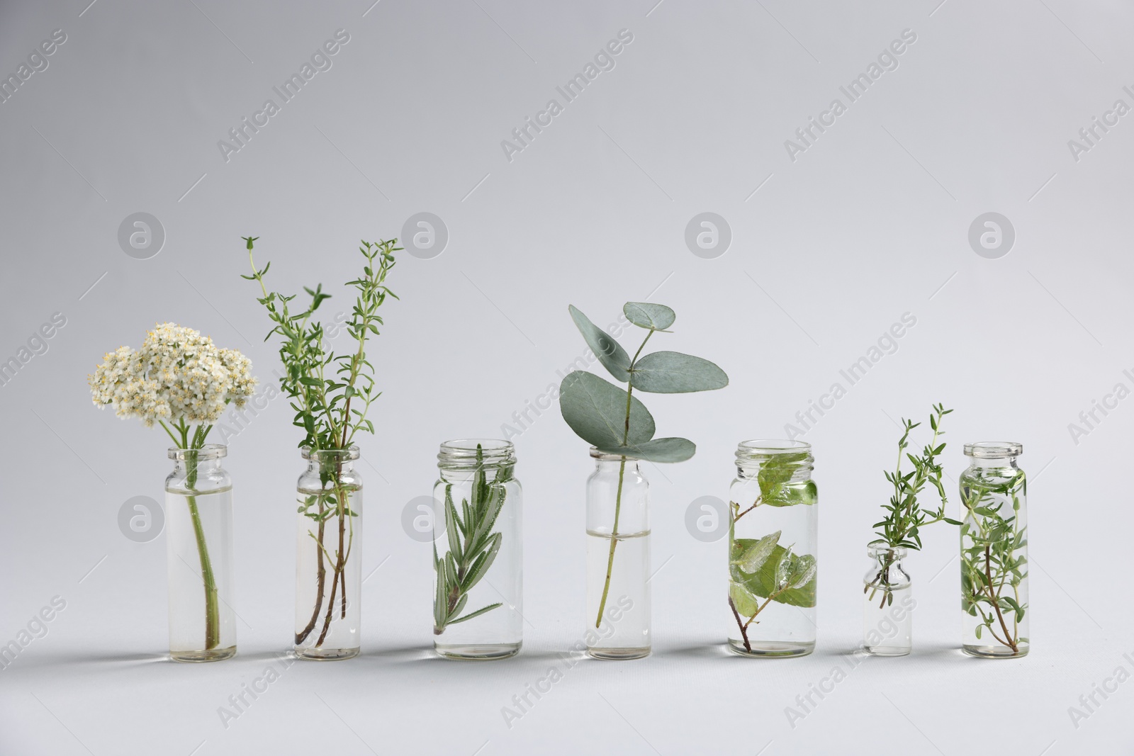 Photo of Essential oils with different plants in bottles on light grey background