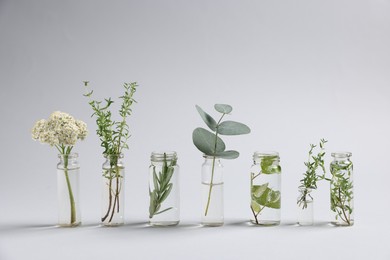 Photo of Essential oils with different plants in bottles on light grey background