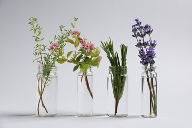 Photo of Essential oils with different plants in bottles on light grey background