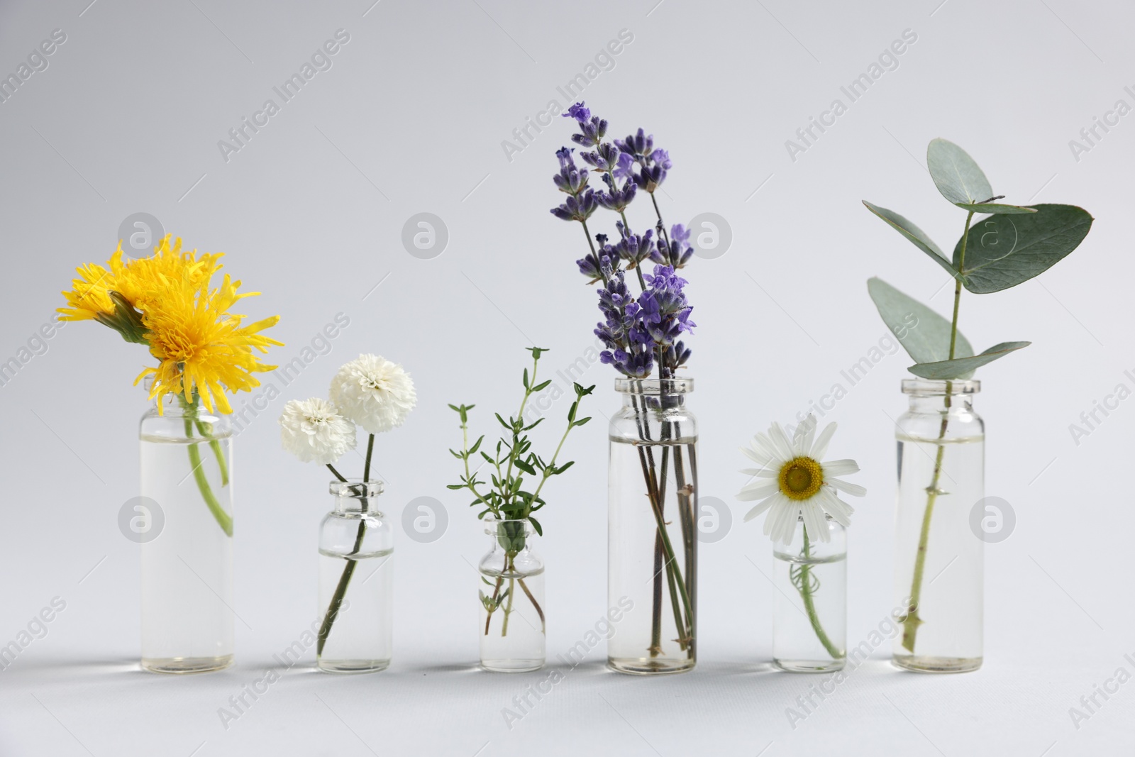 Photo of Essential oils with different plants in bottles on light grey background