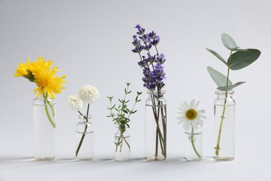 Photo of Essential oils with different plants in bottles on light grey background