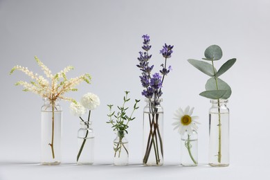 Photo of Essential oils with different plants in bottles on light grey background