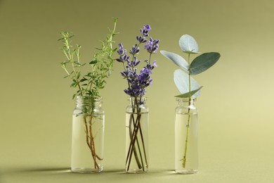 Photo of Essential oils with different plants in bottles on green background