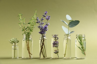 Photo of Essential oils with different plants in bottles on green background