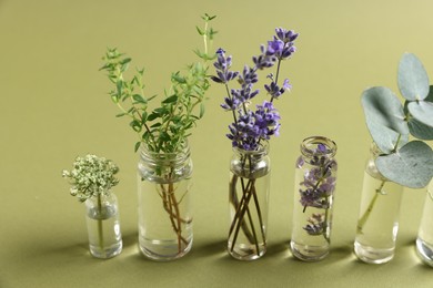 Photo of Essential oils with different plants in bottles on green background