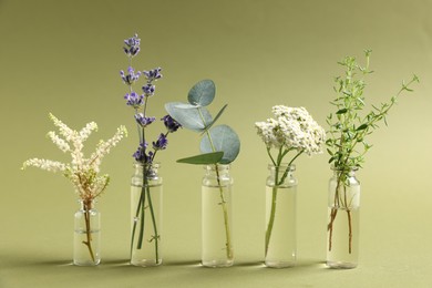 Photo of Essential oils with different plants in bottles on green background