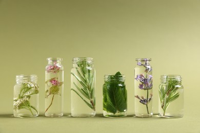 Photo of Essential oils with different plants in bottles on green background