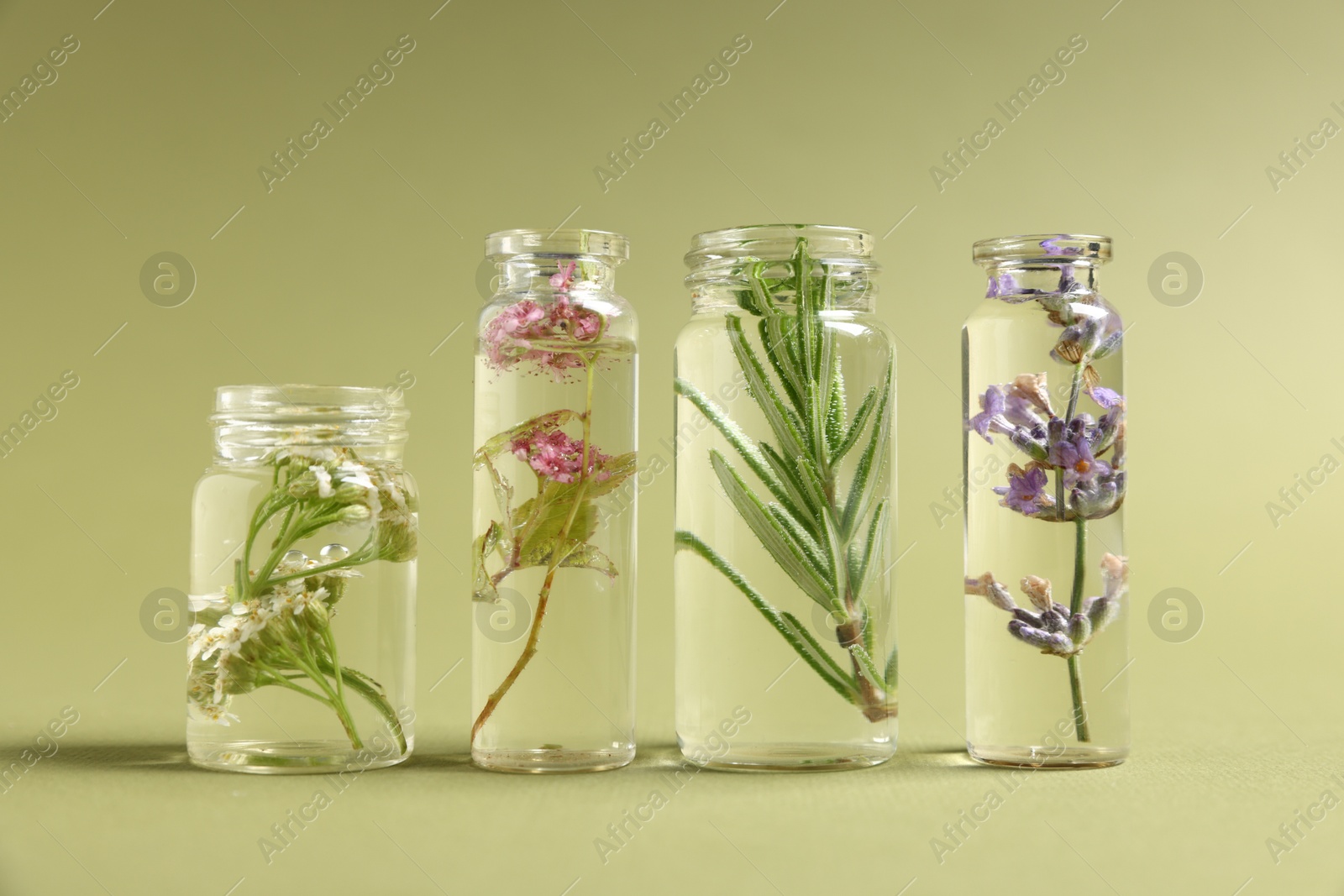 Photo of Essential oils with different plants in bottles on green background, closeup