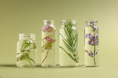Photo of Essential oils with different plants in bottles on green background, closeup