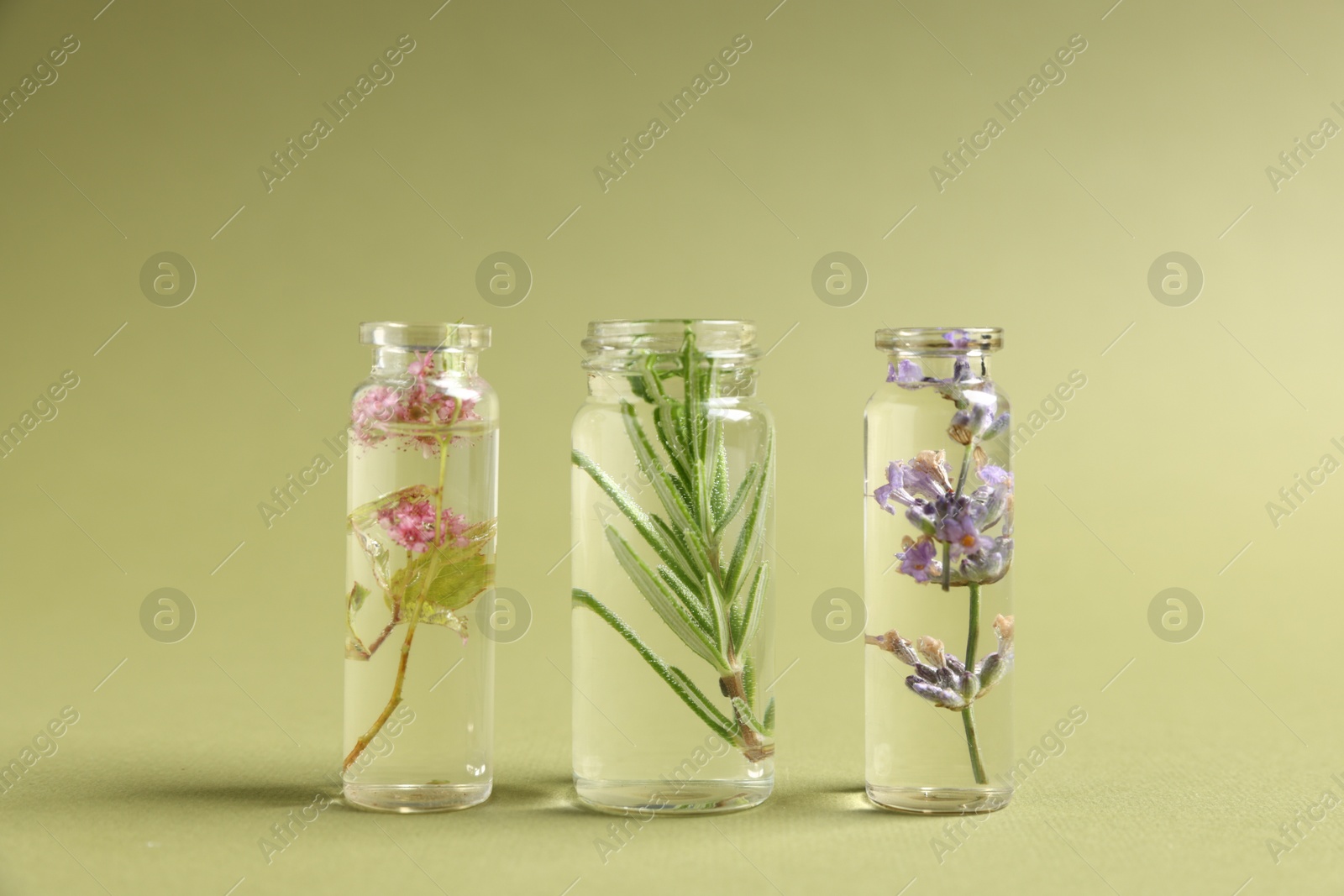 Photo of Essential oils with different plants in bottles on green background, closeup
